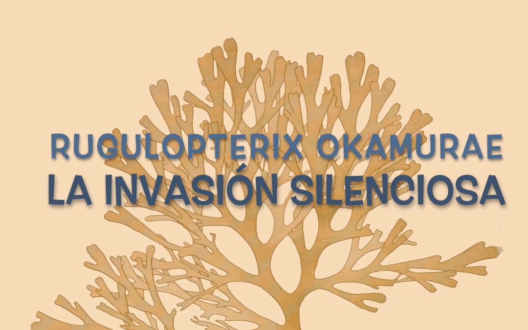 Rugulopterix Okamurae: La invasión silenciosa